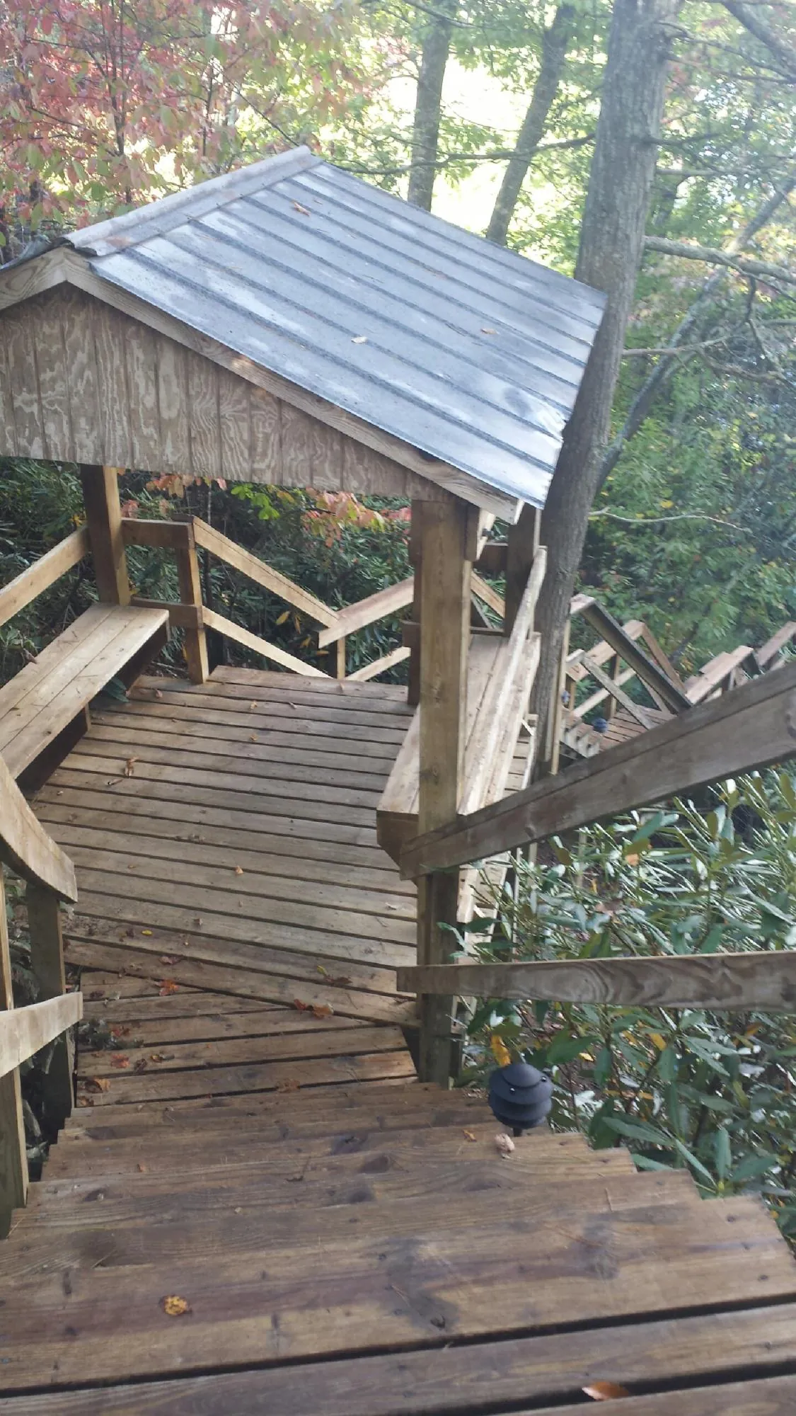 Metal roofed shelter over wooden steps on a wooded walkway — Skylight Repair & Installation work by our crew in Bradner